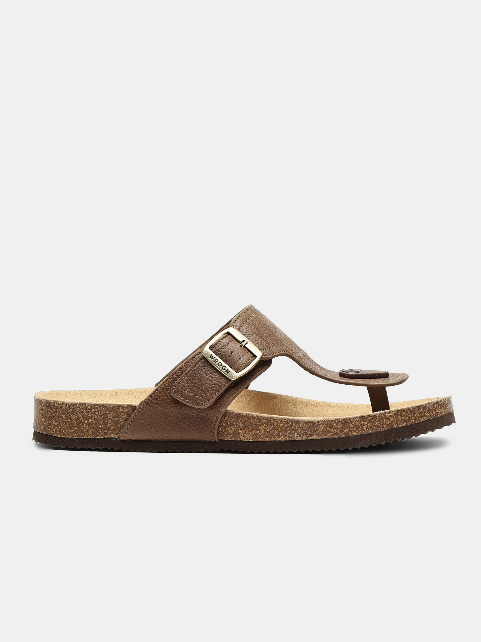 Shore Seeker - Image 2